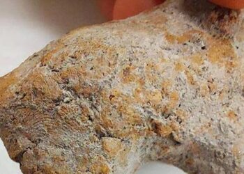 Bilecik’teki kazıda bulunan hayvan figüründe 9 bin yıllık parmak izi