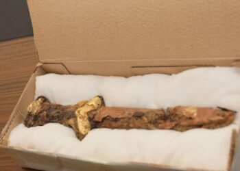 Kazakistan’da erken Demir Çağı’nda kullanılan tarihi eser keşfi