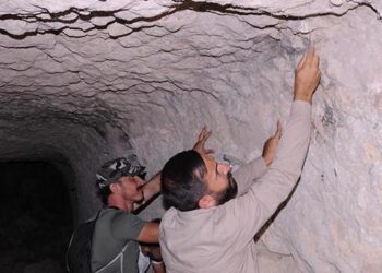 Kayseri’de ilk kez tüf mağara tavanında fosil bulundu! ‘Son derece ilginç ve heyecan verici’