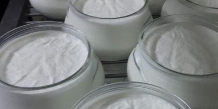 Afyon manda yoğurdu tescillendi