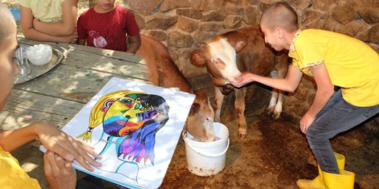 Ona Picasso Ali diyorlar! İşte köyün ressamı