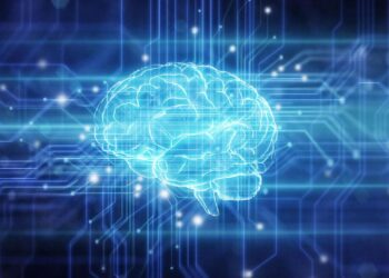 Yaşlanmayla ortaya çıkan hafıza kaybı önlenebilir