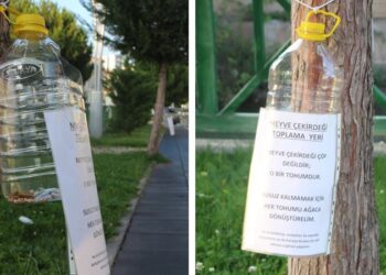 ‘Meyve çekirdekleri çöp olmasın’ farkındalığı başlattı