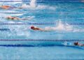 Milli sporculardan bir altın bir gümüş madalya