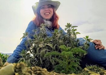 ABD’den dede toprağına susuz tarımla döndü