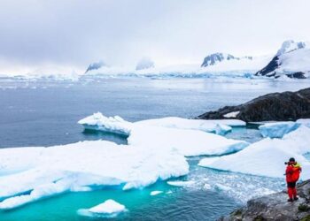 Antarktika’da yeni bir bitki türü keşfedildi