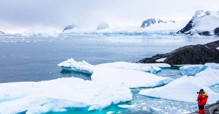 Antarktika’da yeni bir bitki türü keşfedildi