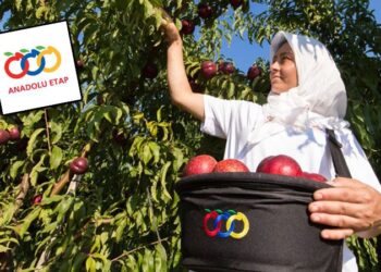 Anadolu Etap “EBRD Sürdürülebilirlik Ödülleri”nde “Altın” ödüle layık görüldü