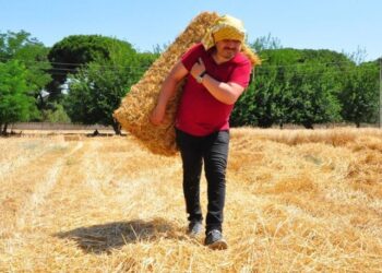 Teşekkürler öğretmenim!