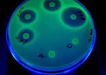 Bilim insanlarından sıra dışı buluş: Işıldayan koli basili!