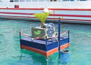 Aydın Büyükşehir’den ekolojik icat: Deniz yüzeyi temizlenecek