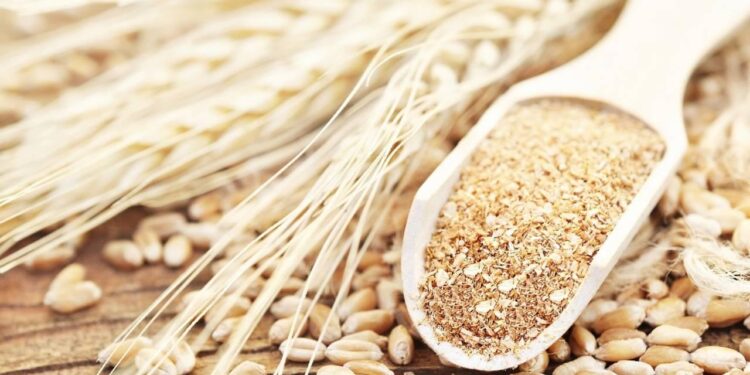 Türkiye’nin ilk tescilli siyez buğdayları üretilecek