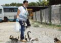 Sokak hayvanlarına adanmış bir ömür
