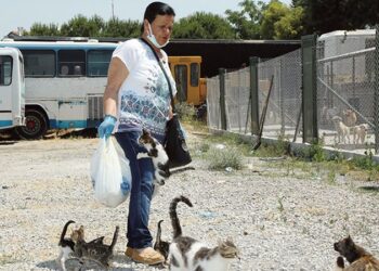 Sokak hayvanlarına adanmış bir ömür