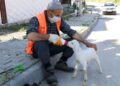 Peşinden ayrılmayan oğlağıyla cadde ve sokakları temizliyor