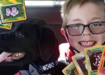 Köpeğinin ameliyatı için oyun kartlarını satışa çıkardı