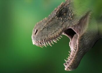 Bilim insanları, Avustralya’nın en büyük dinozor türünü keşfetti