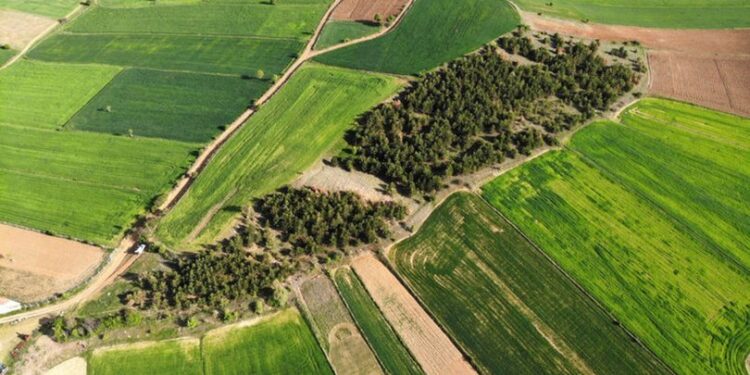 Köy sakinlerinin 18 yıllık çabası… Bakın ne için!