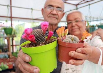 Meme kanserine yakalanan eşi için 1200 kaktüslü hobi bahçesi kurdu