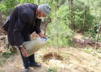 Çöplüğü ormana çevirdi