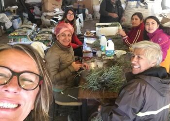 Dünyayı iyileştirmek elimizde