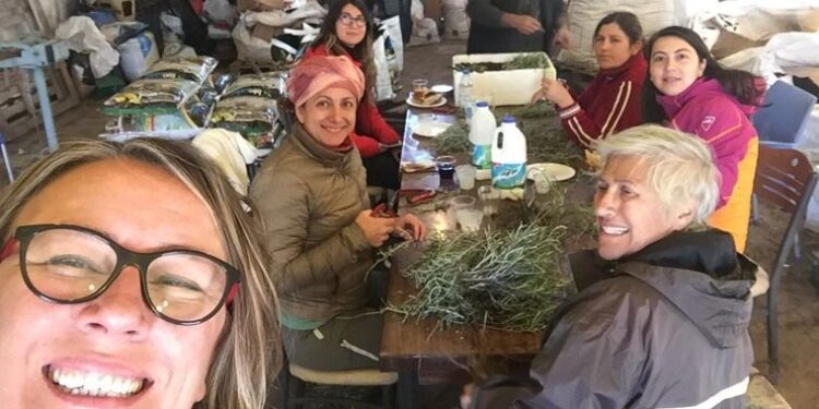 Dünyayı iyileştirmek elimizde