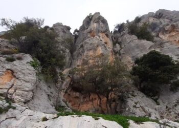 Mersin’de heyecanlandıran keşif! 8 bin yıllık