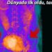 Dünyada bir ilk! Hamile bir kadına ait antik Mısır mumyası bulundu
