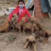 10 yavru köpeğin gönüllü bakıcısı oldu
