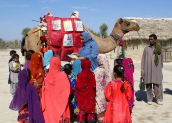 Pakistan’da “gezici deve kütüphane” çocukları kitapla buluşturuyor