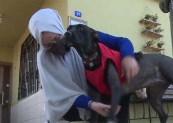 Sokak hayvanlarına atık kumaşlardan kıyafet