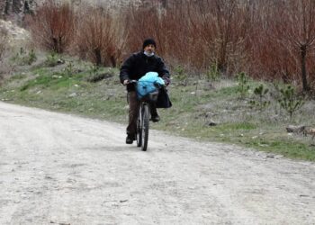 Emekli öğretmen yabani meyve ağaçlarını aşılıyor