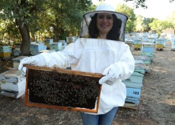 Arılar bana oğlumu hediye etti