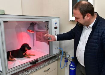 Çiğli’de hastalanan sokak sakinleri için ‘yaşam kapsülü’