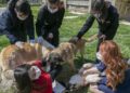 Öğrencilerin harçlıkları can dostlara mama oldu
