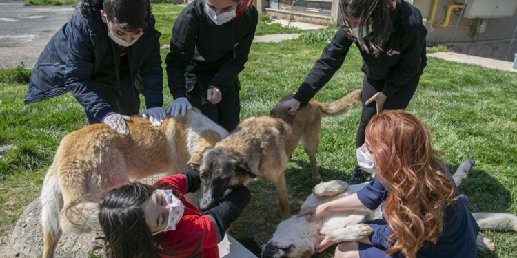 Öğrencilerin harçlıkları can dostlara mama oldu