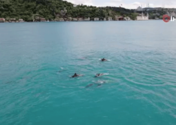 İstanbul Boğazı’nda renkli görüntüler