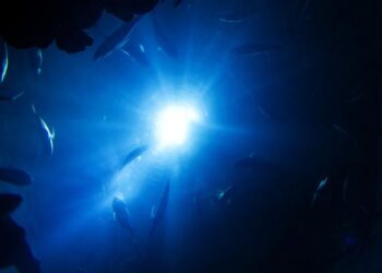 Derin denizde ‘görünmez bakteri’ keşfedildi