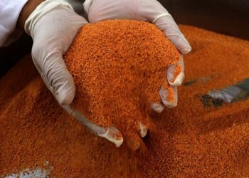 Kayseri’de çiftçi kadınlar organik ürünlerle işletmeci oldu