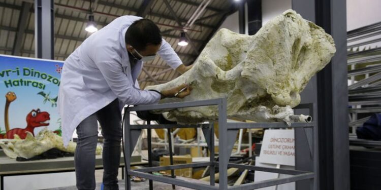 Kayseri’de keşfedildi… 5 farklı tür bir arada!