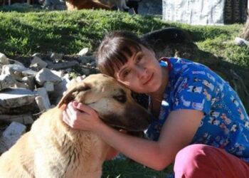 Ameliyattan ve nöbetten çıkıp, sokak hayvanlarını beslemeye koşuyor