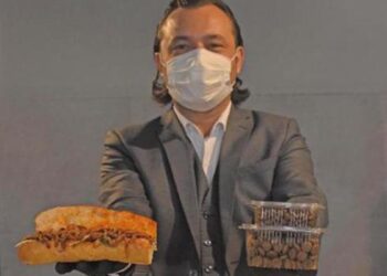 Konya’da ‘hayvansever restoran’; paket servise hediye kedi- köpek maması