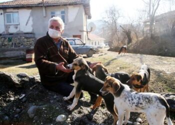 Sokak köpekleri için köyden ayrılmadı