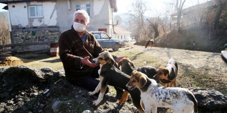 Sokak köpekleri için köyden ayrılmadı