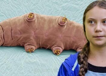 İklim Aktivisti Greta Thunberg’in adı bir kez daha bir hayvana verildi