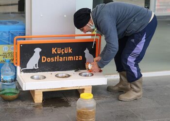 Sokak hayvanları için ‘iyilik mesaisi’