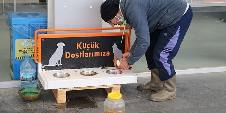 Sokak hayvanları için ‘iyilik mesaisi’