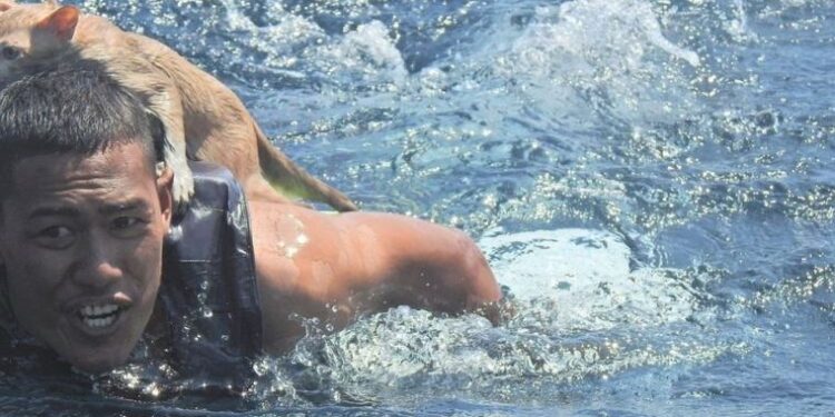 Tayland donanmasına bağlı denizciler yanmakta olan gemide mahsur kalan 4 kediyi kurtardı