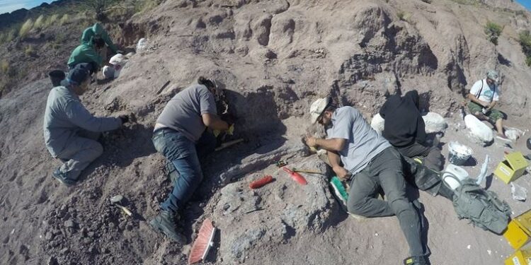 Arjantin’de titanozor fosili bulundu: Türünün en eski örneği olabilir