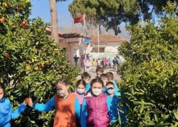 Aydınlı öğrenciler Erzurum’daki kardeşleri için mandalina topladı